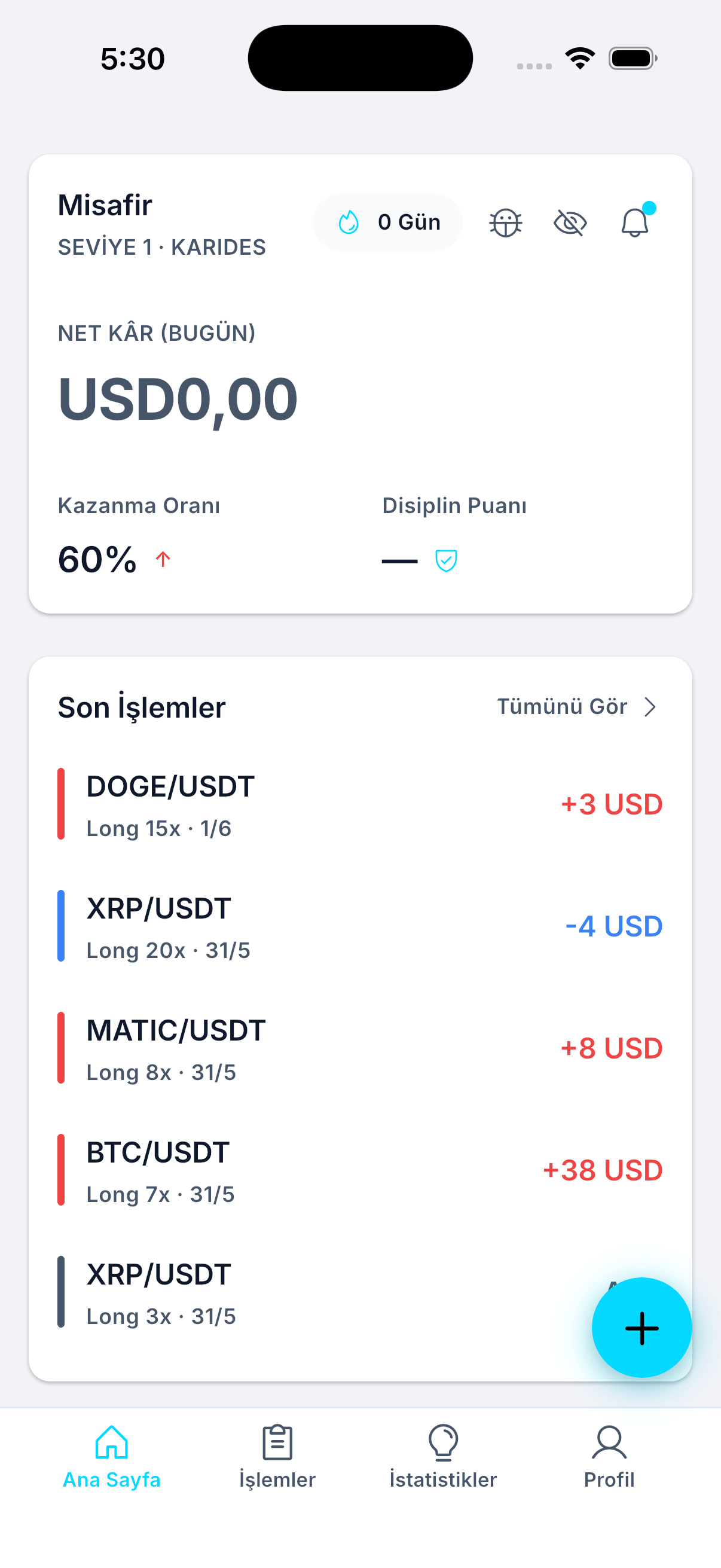 Whale Journal mobil özet ekranı